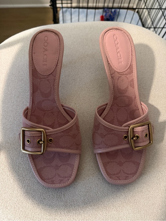 Coach Shoes - Coach Blush Pink Logo Jacquard Slide Mules with Gold Buckle